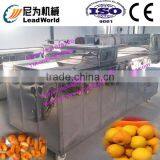 Hot Sale and High Efficiency Cherry Pitting Machine thumbnail-6