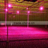 High Power 18W Cob LED Grow Light From Shenzhen Factory thumbnail-5