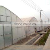 Cheap Tunnel Greenhouse for Vegetable thumbnail-5