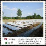 Steady Quality China Agricultural PP Non-woven Fabric,Crop Cover thumbnail-4