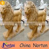 Norton hand-carved natural yellow majestic marble lion sculpture with square base NTBM-L018L