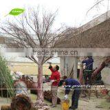 WTR1102-2 GNW 12ft Decorative Silver Dry Tree no Leaves fo Wedding Decoration thumbnail-2