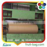 TPBI White Paper Fruit Growing Paper Bag Grapefruit Paper Bag Cover Bag thumbnail-6