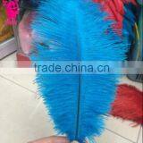Wholesale Fashion Multicolor Decotation Ostrich Feather for Party and Wedding thumbnail-3