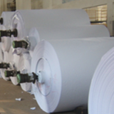 Cup Type and Pulp Material Pe Coated Paper Roll thumbnail-4