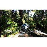 Amazing Decoration 1 Meter Mirror Ball Inflatable thumbnail-1