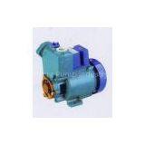 Self-priming Pump thumbnail-1