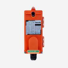 Universal Telecontrol F21-E1 Industrial Radio Wireless Remote Control AC/DC for Crane 2 Transmitters and 1 Receiver thumbnail-3