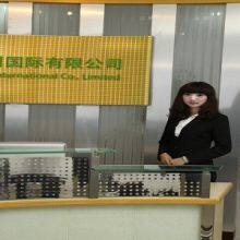 Twin International Co., Limited company overview - view 3 thumbnail