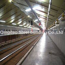 Prefabricated/Prefab Hot Sale Full-Set Automatic Feeding System Chicken House thumbnail-5