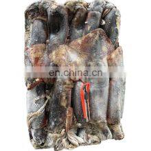 Peru Giant Squid Frozen Giant Squid Price Whole Round Dosidicus Gigas 300-500 500-1000
