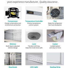2~8℃ PHARMACY REFRIGERATOR_Product Details
