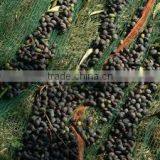 Protection Net for Food