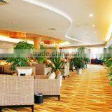 Luxury 5 Star Hotel Carpet, Lobby Carpet H-24 thumbnail-1