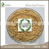 100% Natural Olive Leaf Extract Powder in Bulk thumbnail-5