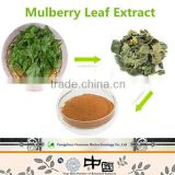 100% natural Mulberry Fruit Extract/ Mulberry Extract powder