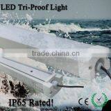 Waterproof,Dustproof Tri-proof Light With 5years Warranty thumbnail-6