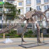 High Simulation Fiberglass Skeleton Model of Dinosaur