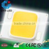 High CRI 10w/20w/30w/50w white epistar chip 150w cob led