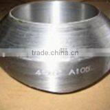 SW Steel Pipe Fitting Sockolet thumbnail-1