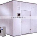 Fireproofing Insulation PU Freezer Cold Room for Meat