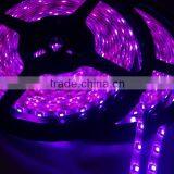 Color Changing Strip 5m 12v 24v Waterproof LED Strip With Tape