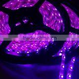 Color Changing Strip 5m 12v 24v Waterproof LED Strip with Tape