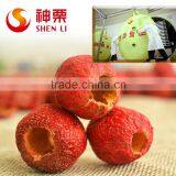 Freeze Dried Fruit Powder,Freeze Dried Hawthorn Berry Powder thumbnail-4