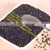 Industrial Gingili Cleaning Machine/seasame Washing Machine thumbnail-5