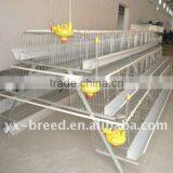 Chicken Layer Cage