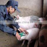 UHF 826mhz-960mhz Rfid Animal Tracking ID Ear Tag thumbnail-6