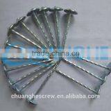 Umbrella Roofing Nails Factory/fuyu Metal thumbnail-6