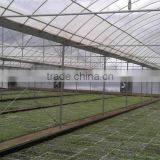Hot Sale Multi Span Plastic Covered Fan Greenhouse thumbnail-1