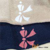 Japanese Popular High Waisted Shorts for Women thumbnail-4