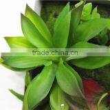 Home Garden Deco 25cm to 200 cm Long Artificial Green Unique Mini Grass Head Wall Plant EJPZWQ1501 1201 thumbnail-6