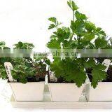 Metal Trio Planter Kit, Metal Growing Planters, Metal Herb Planter thumbnail-1