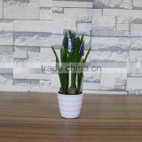 Plastic Hyacinth Flower Bonsai for Home and Commercial Decoation thumbnail-3