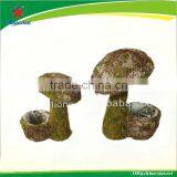 Natural Moss Mushroom Flower Pot for Fall thumbnail-1