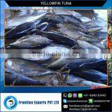 Fresh Chilled Yellowfin Tuna thumbnail-1