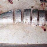 Frozen Mahi Mahi Portions.3-4cm ,1kg Packet thumbnail-4