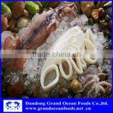 Frozen Squid for Sale thumbnail-1