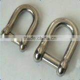 Stainless Steel d Shackle thumbnail-1