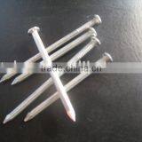 Concrete Nail thumbnail-1