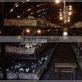 Single Span Plastic Film Mushroom Greenhouse thumbnail-2