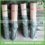 Factory Cheap Price Wooden Mop Handle thumbnail-1