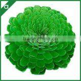Green Colored Artificial Chrysanthemum Sola Flower for Fragrance Diffuser