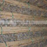 White Malacca, Mantang, Malacca, White Cane, Rattan, Cane, Rattan Cane, Rattan Pole, Pole, Cane Pole thumbnail-2