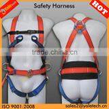 High Strength Polyester Webbing for Safety Belt thumbnail-1