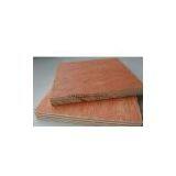 Sell Bintangor Plywood thumbnail-1