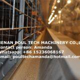 South Africa Chicken Farming H Frame Full Automatic Layer Chicken Cage Equipment Used in Chicken House for Laying Hen
